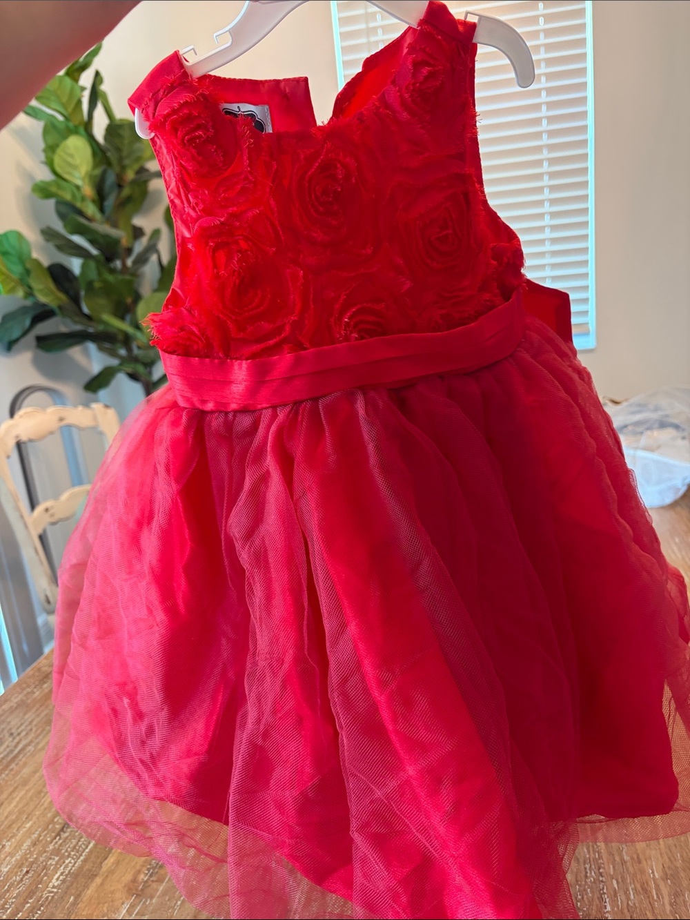 Red Rosette Tulle Party Dress for Girls with Satin Waistband